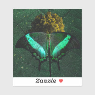 Adesivo Orgânico Verde Escuro Minimalista Inseto Arte