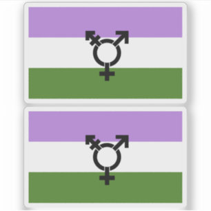 Adesivo Orgulho Gênero Queer - Queer