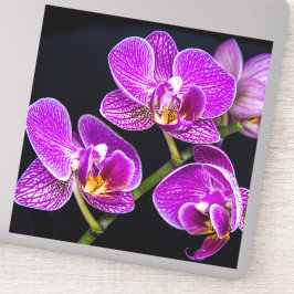Adesivo Orquídea roxa