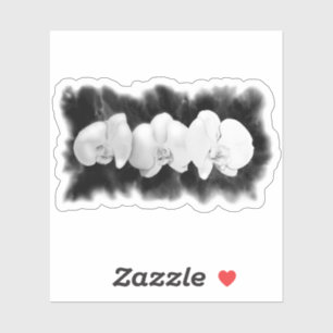 Adesivo Orquídeas brancas pretas