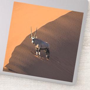 Adesivo Oryx na borda, Namíbia