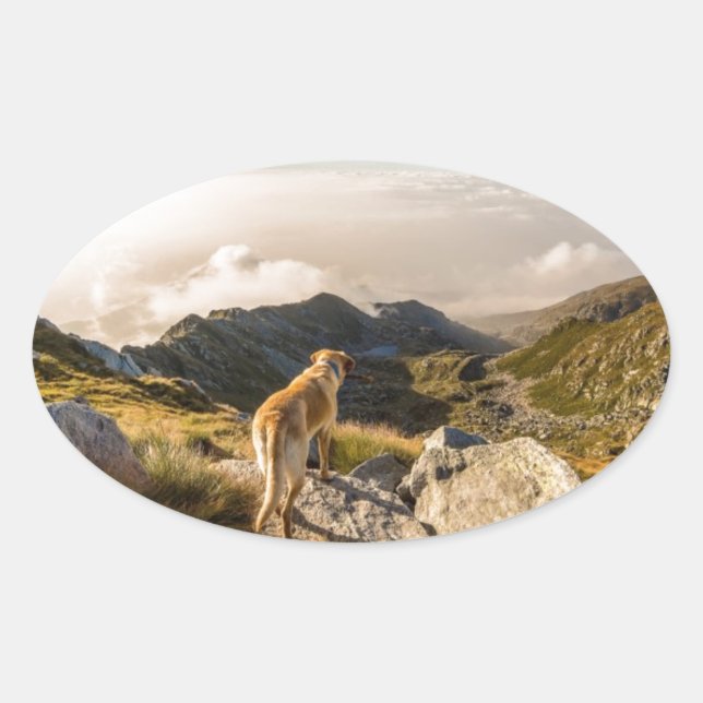 Adesivo Oval A jornada (Frente)