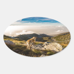 Adesivo Oval A jornada