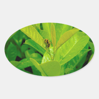 Adesivo Oval Abelha Loving verde