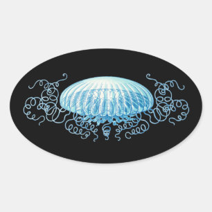 Adesivo Oval Água-viva Haeckel Personalizável