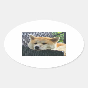 Adesivo Oval akita-refrigeração.png