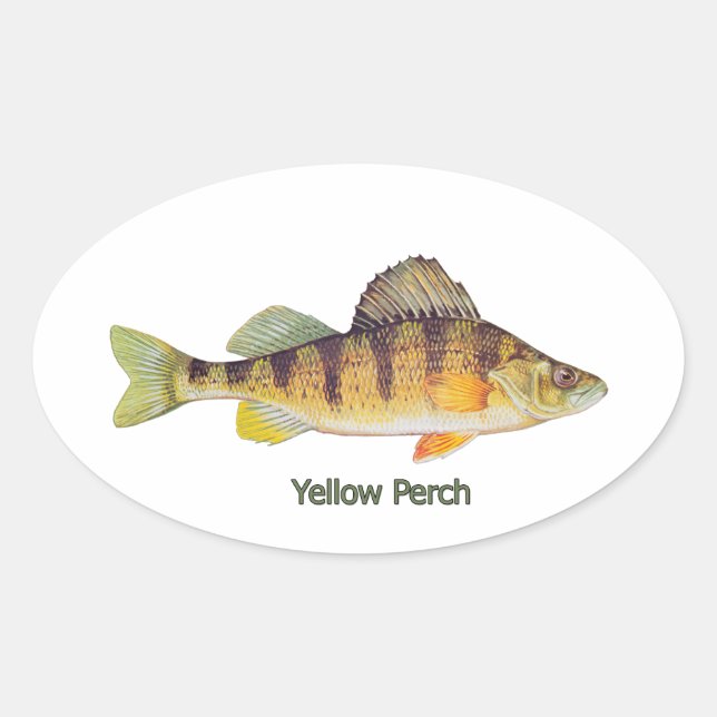 Adesivo Oval Amarelo Perch com título (Frente)