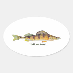Adesivo Oval Amarelo Perch com título