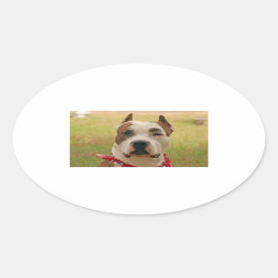 Adesivo Oval AmericanStafforshireTerrier 2.png