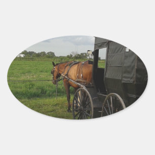 Adesivo Oval Amish Horse e Buggy no Sunset, em Frytown
