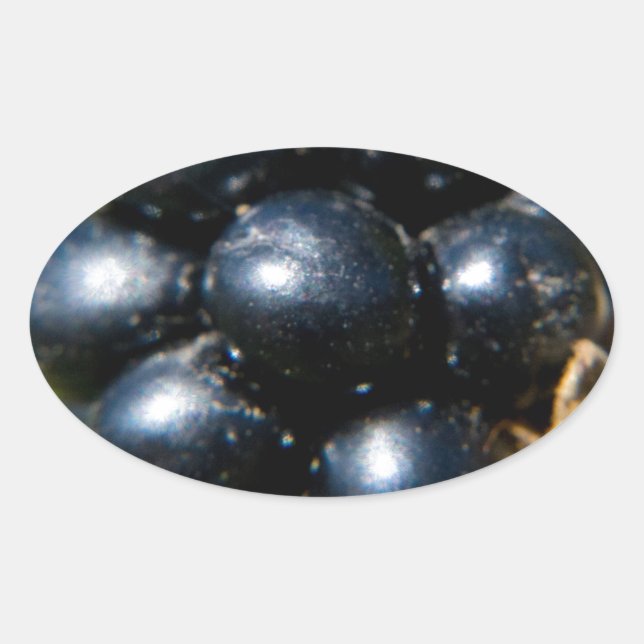 Adesivo Oval Amoras (Frente)