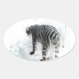 Adesivo Oval Animal selvagem do Tigre Branco