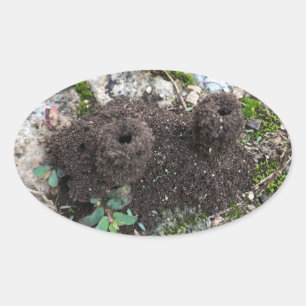 Adesivo Oval Ant Castle