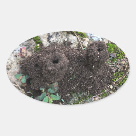 Adesivo Oval Ant Castle