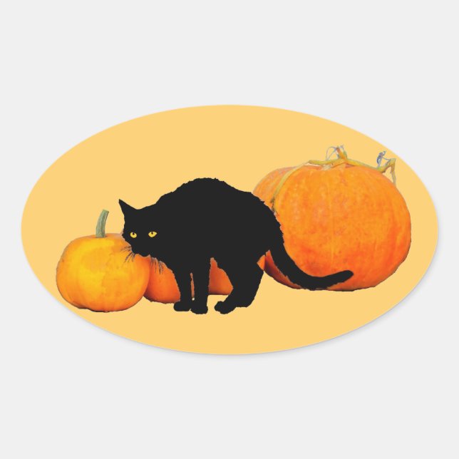 Adesivo Oval Arrancando Gato Preto com Pumpkins (Frente)