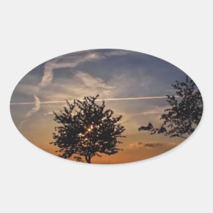 Adesivo Oval Árvores atordoantes, impressões fotográficos da