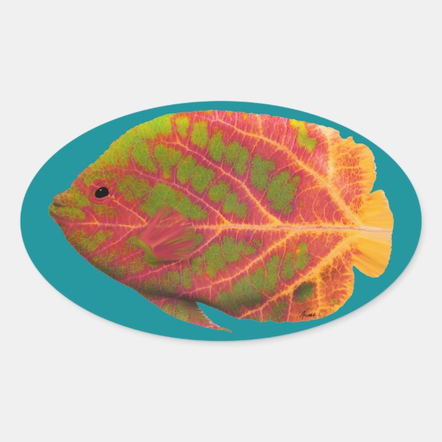 Adesivo Oval Aspen Peixe Tropical 1 (Frente)