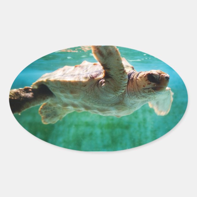 Adesivo Oval Autocolante nº 1 (Frente)