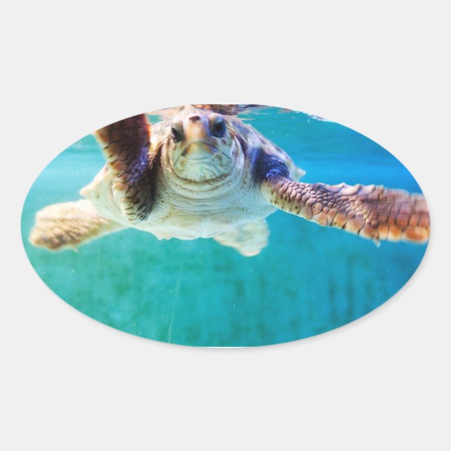 Adesivo Oval Autocolante nº 4 (Frente)