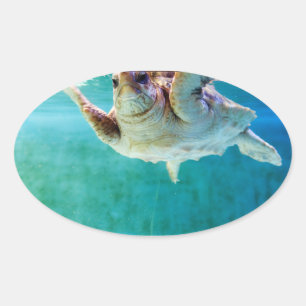 Adesivo Oval Autocolante nº 5