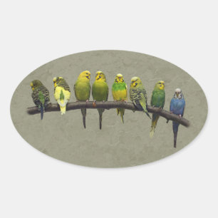 Adesivo Oval Autocolante Odd One Out