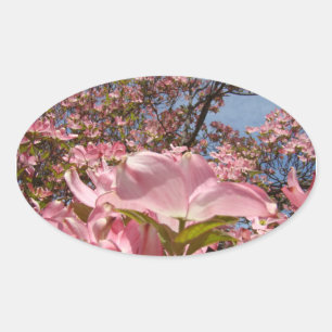 Adesivo Oval Autocolantes cor-de-rosa Dogwood Personalização fl