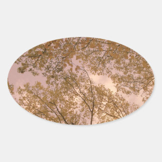 Adesivo Oval Autocolantes de Rosa