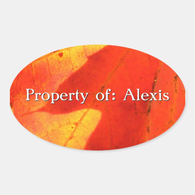 Adesivo Oval Autoumn Leaves Sticker (Frente)