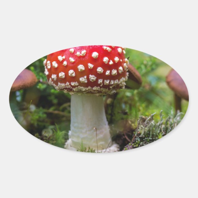 Adesivo Oval Autumn Beauty (Frente)