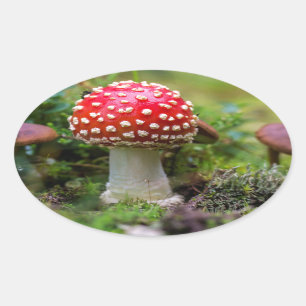 Adesivo Oval Autumn Beauty