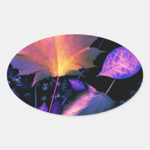 Adesivo Oval Autumn Leaves em Neon