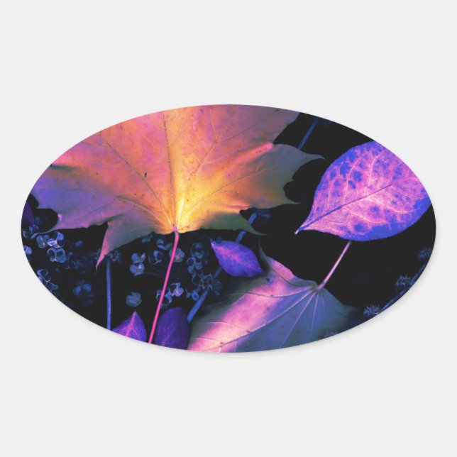 Adesivo Oval Autumn Leaves em Neon (Frente)