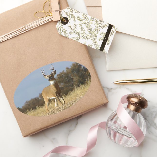 Adesivo Oval Autumn Whitetail Buck (Presentear)