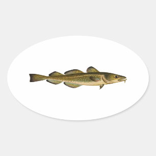 Adesivo Oval Bacalhau do Atlântico