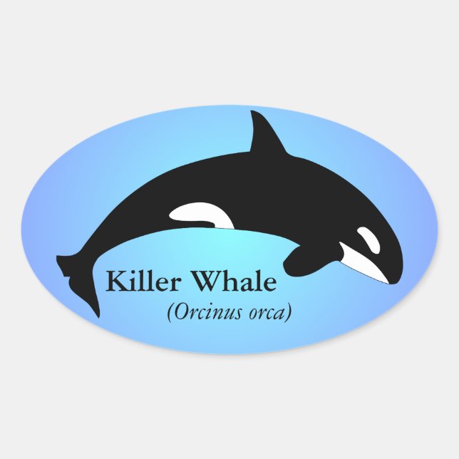 Adesivo Oval Baleia Assassina Orca Gradiente Azul (Frente)