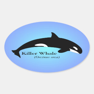 Adesivo Oval Baleia Assassina Orca Gradiente Azul