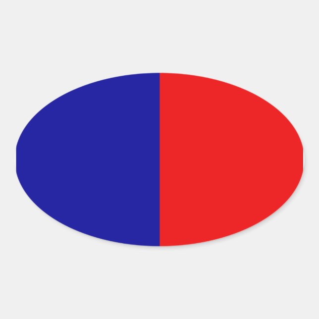 Adesivo Oval Bandeira de Paris (Frente)