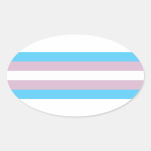 Adesivo Oval Bandeira do orgulho do Transgender