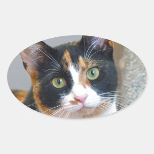 Adesivo Oval Bandido