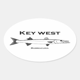 Adesivo Oval Barracuda de Key West
