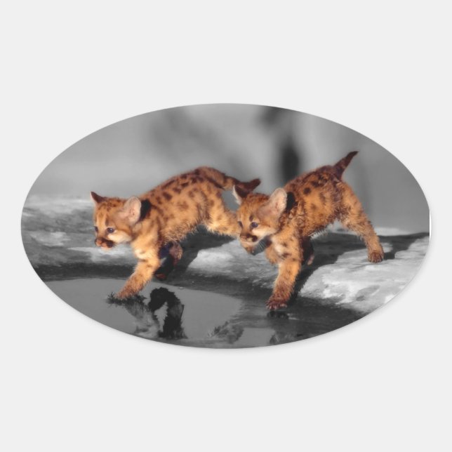 Adesivo Oval Bebês Leopardos (Frente)