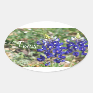 Adesivo Oval Bela Vinheta de Flor Selvagem do Texas Bluebonnet