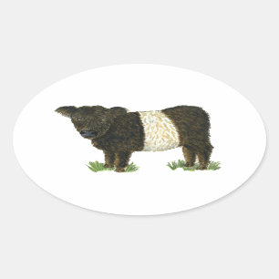 Adesivo Oval "Beltie" Galloway cercado