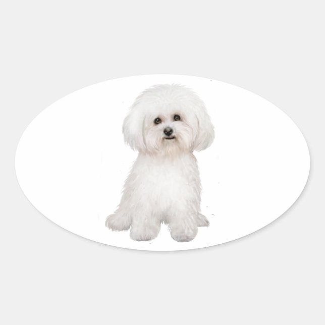 Adesivo Oval Bichon (B) (Frente)