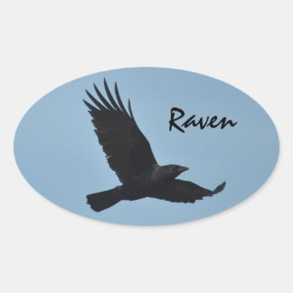 Adesivo Oval Black Raven Voando em Blue Sky Foto