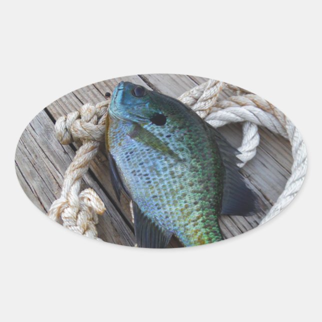 Adesivo Oval bluegill no doca (Frente)