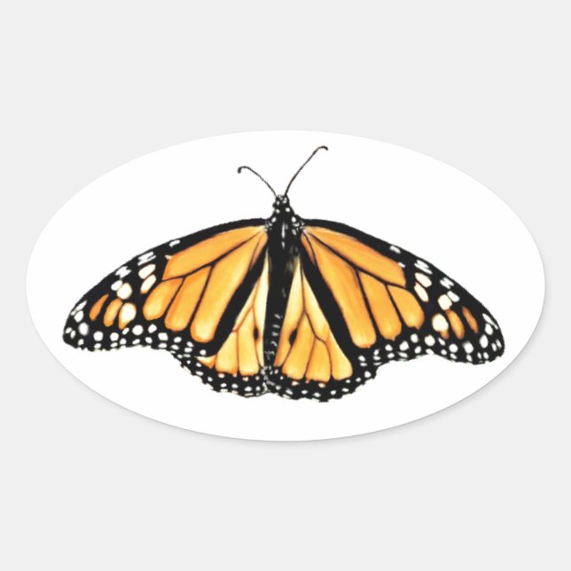 Adesivo Oval Borboleta Monarca de Stickers Male (Frente)