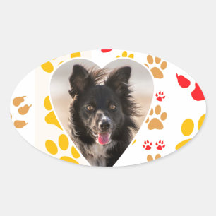 Adesivo Oval Borda Collie Paw Print Love Heart