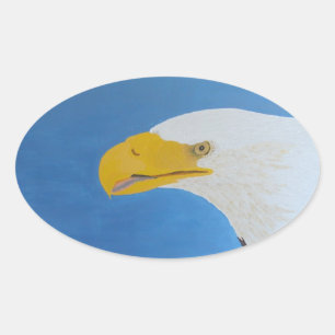 Adesivo Oval Borracha-adesivos do para-choques, águia