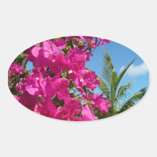 Adesivo Oval Bougainvillea e Palm Tree Tropical Nature Cena